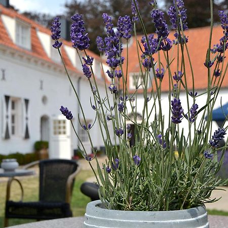 Bed and Breakfast Kasteel Aldenghoor Haelen Zewnętrze zdjęcie