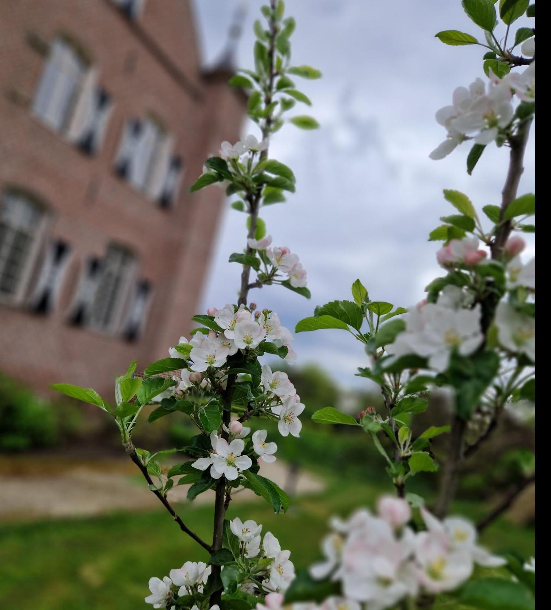 Bed and Breakfast Kasteel Aldenghoor Haelen Zewnętrze zdjęcie