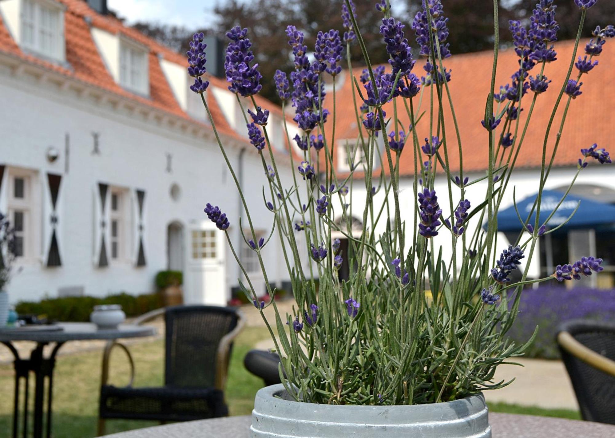 Bed and Breakfast Kasteel Aldenghoor Haelen Zewnętrze zdjęcie